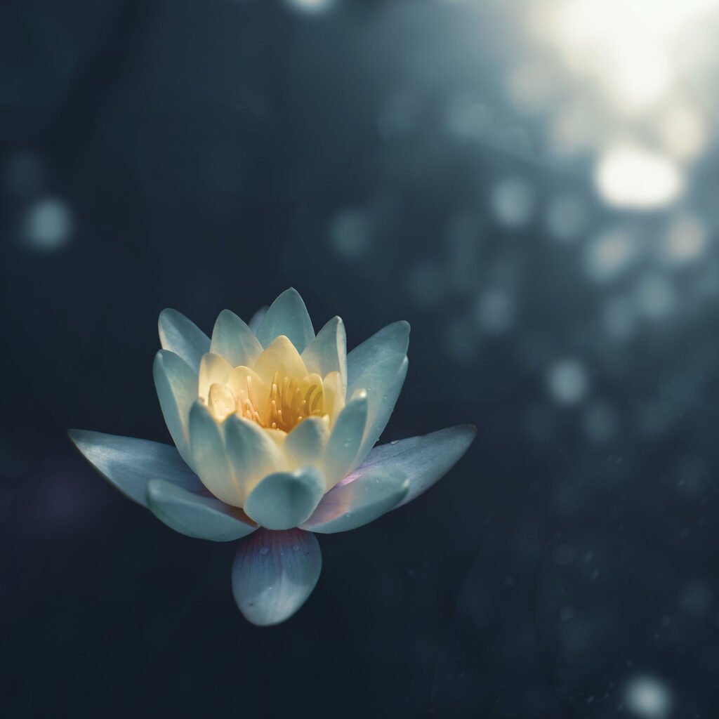 Sometimes the Truth Cannot Be Spoken — What Is Truth, Really?
