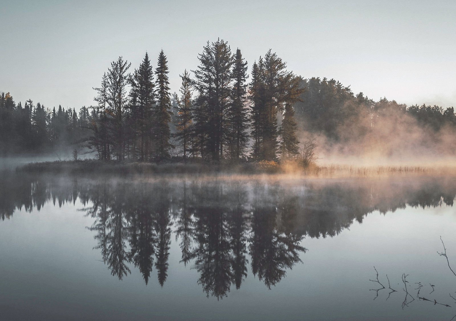 misty forest reflection lake