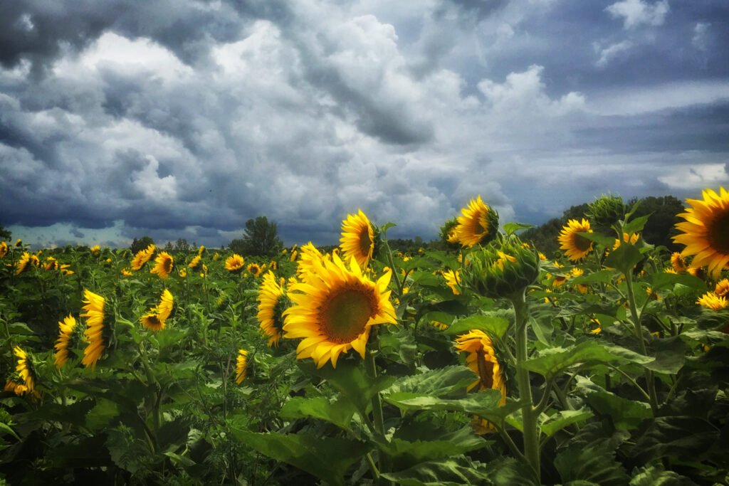 Why I live where I live – Home is not just a place, but anywhere you feel at home