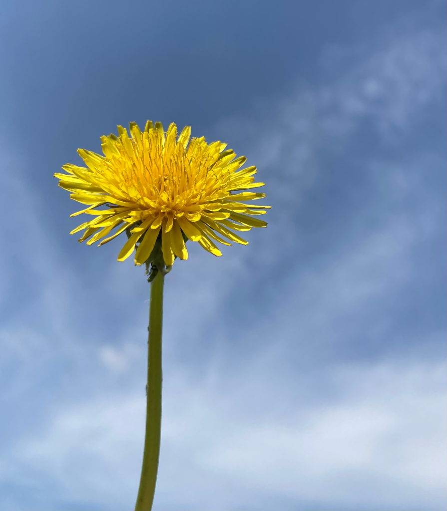 The Power of Silence: Why You Should Give a Silent Retreat a Chance